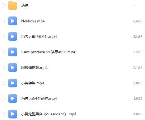 【免费资源】VAM国漫视频和动捕视频分享-VAM资源站