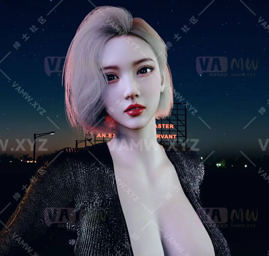 人物Looks-VAM虚拟女友游戏人物-Dmoold.OBD_lee.1